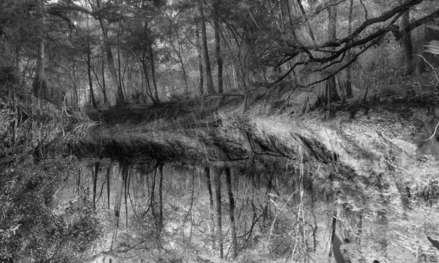 963 Hz: The Interstitial Moment between Image and Sound  by Chris Leventis