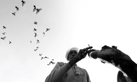 Dimpy Bhalotia: Small Lens, Big World