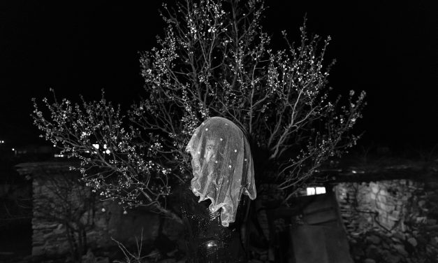 2026 International Photography Competition